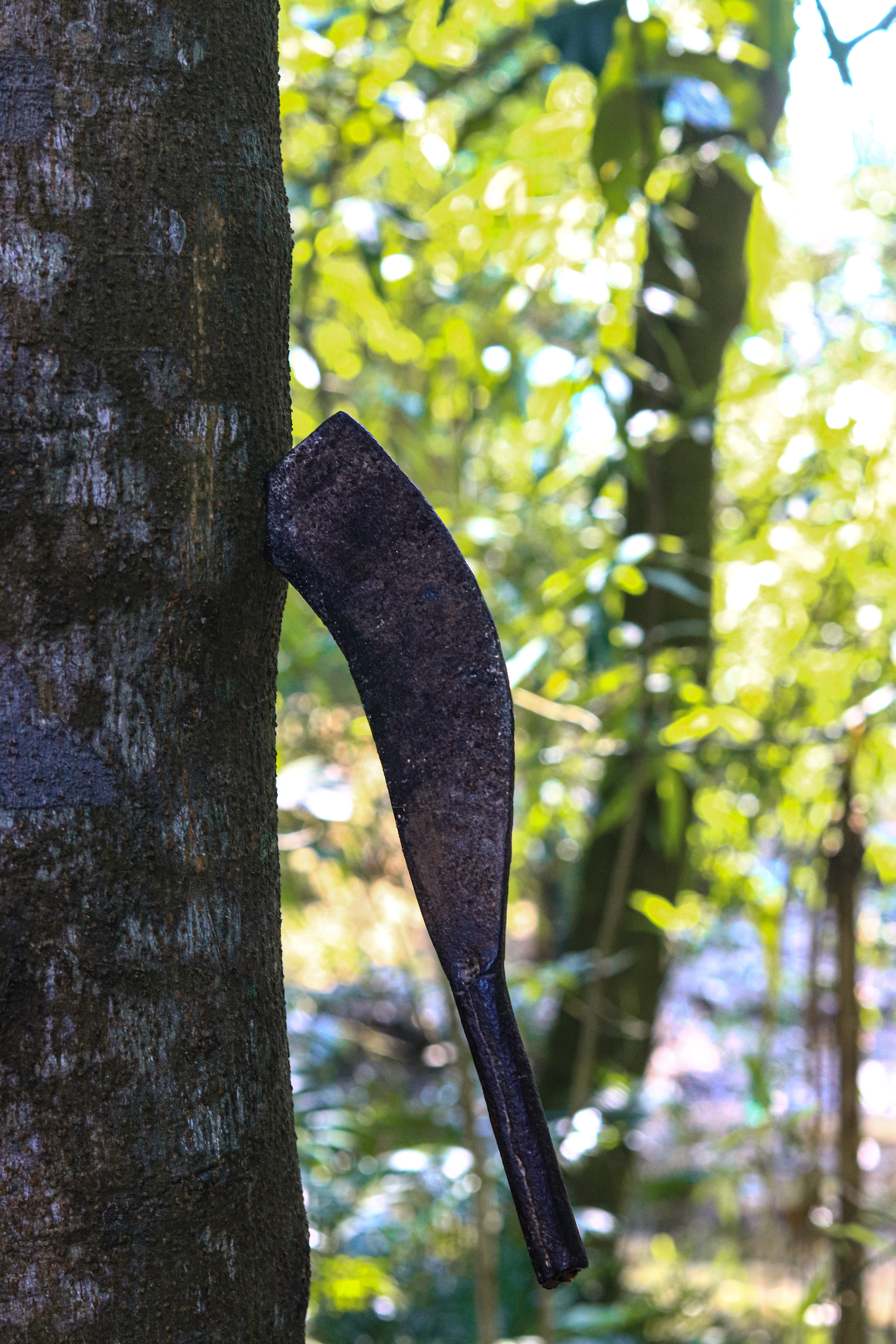 PANGA 16" STRAIGA WOODEN