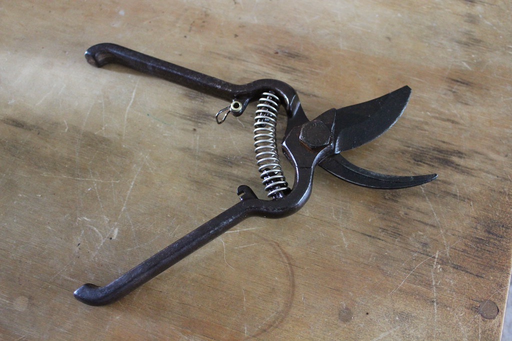 PRUNNING SCISSOR