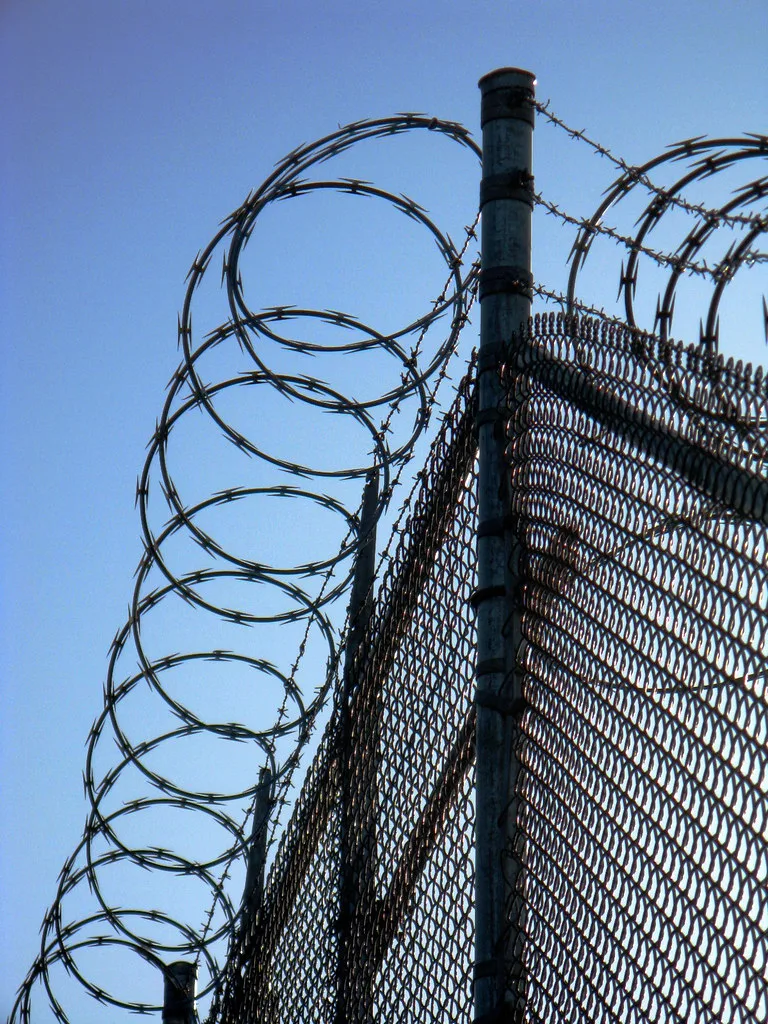 RAZOR WIRE 45CM GREEN