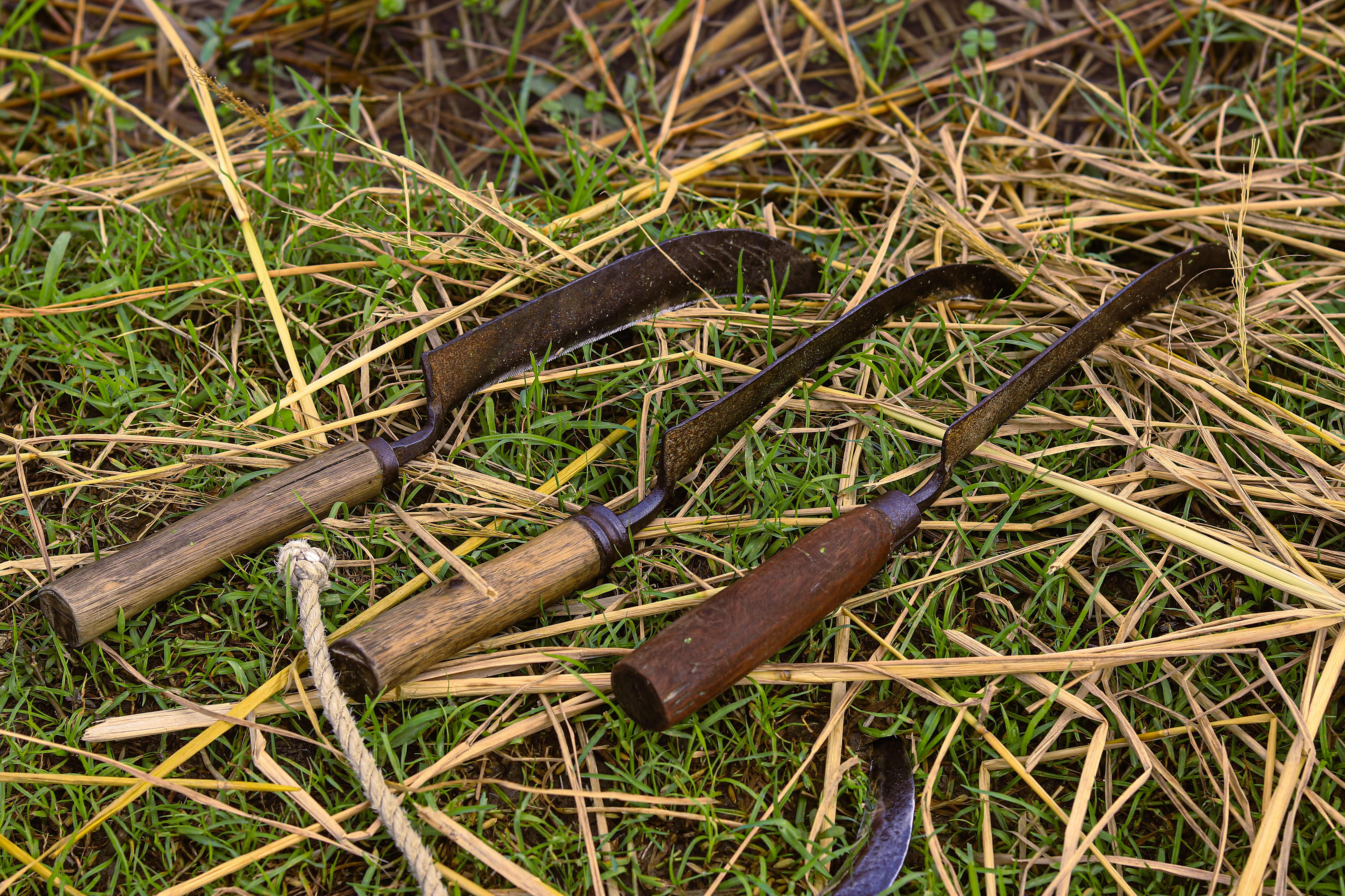SICKLE 12"