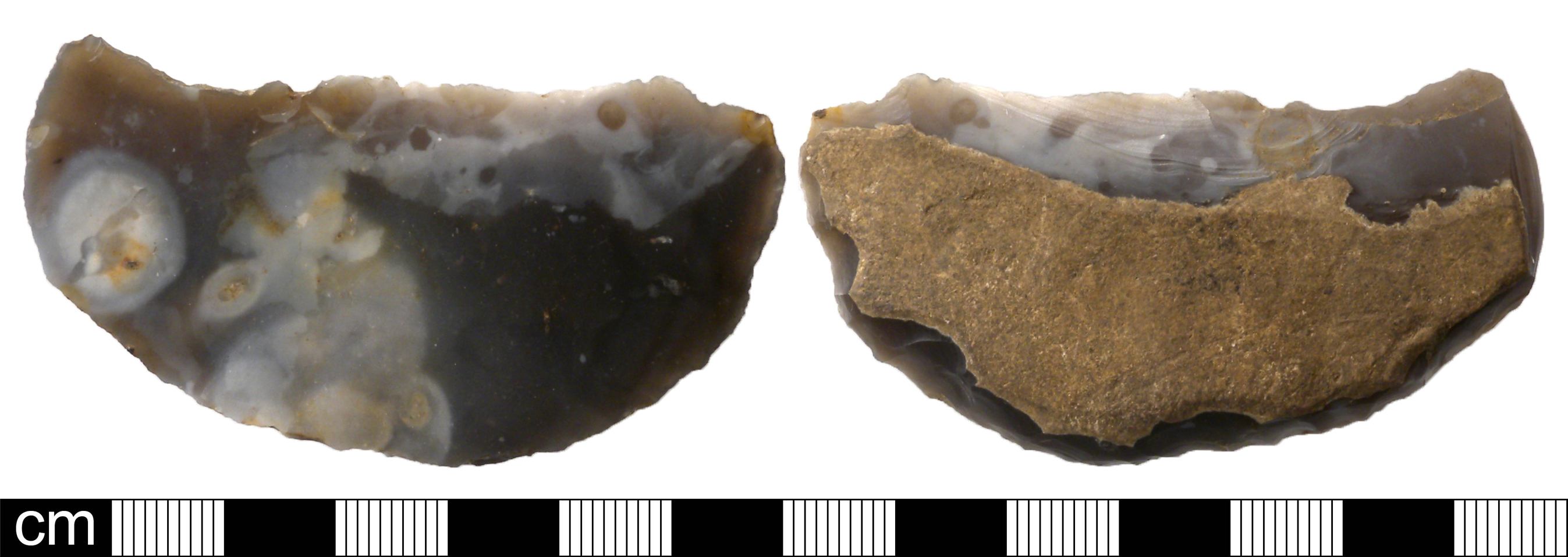 SICKLE 14"