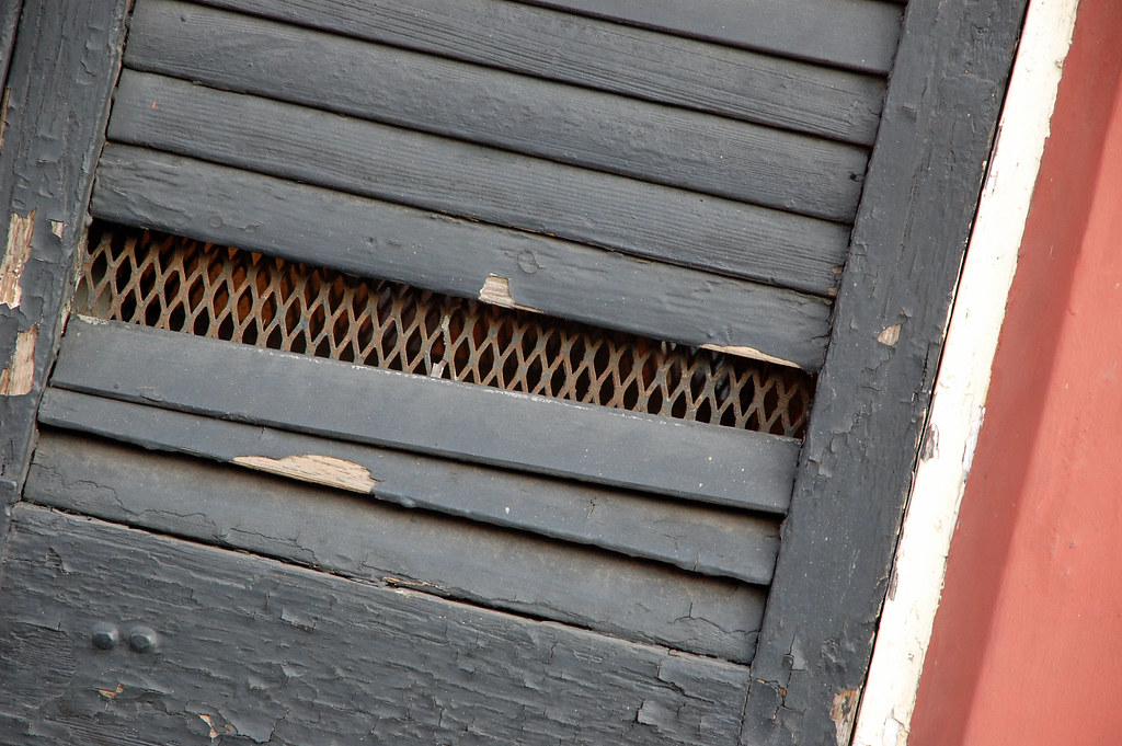 Chicken wire 1" 6FIT