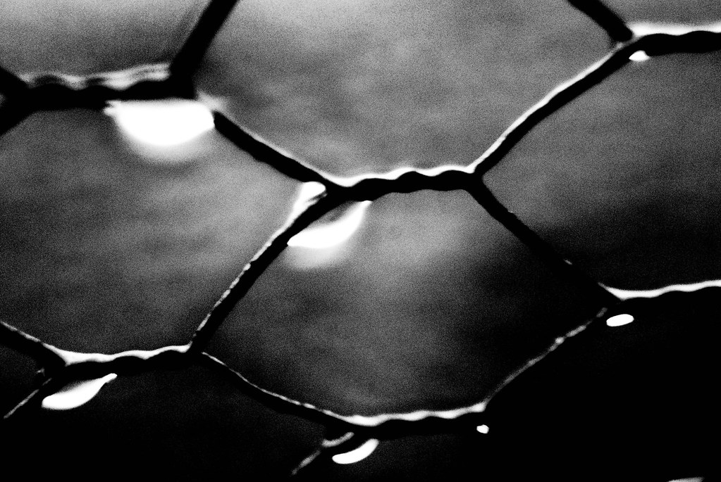 Chicken wire 3/4" 3fit